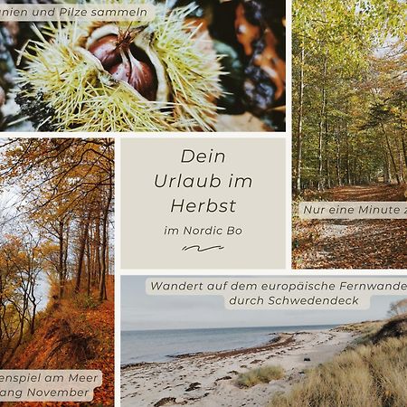 Nordic Bo -Wellen Wald Und Wilde Kueste- Strandnahe Doppelhaushaelfte Mit Waldterrasse Surendorf Екстериор снимка