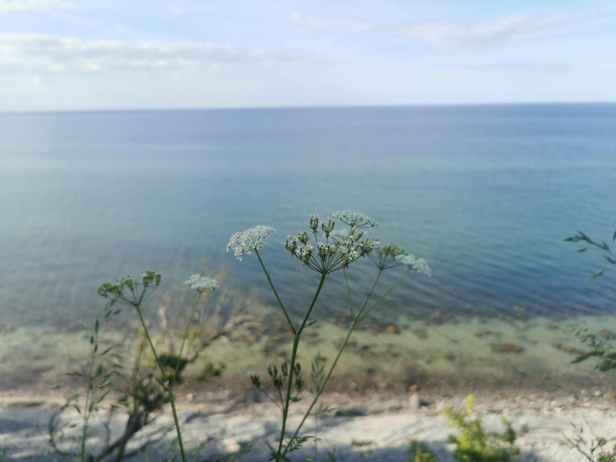Nordic Bo -Wellen Wald Und Wilde Kueste- Strandnahe Doppelhaushaelfte Mit Waldterrasse Surendorf Екстериор снимка