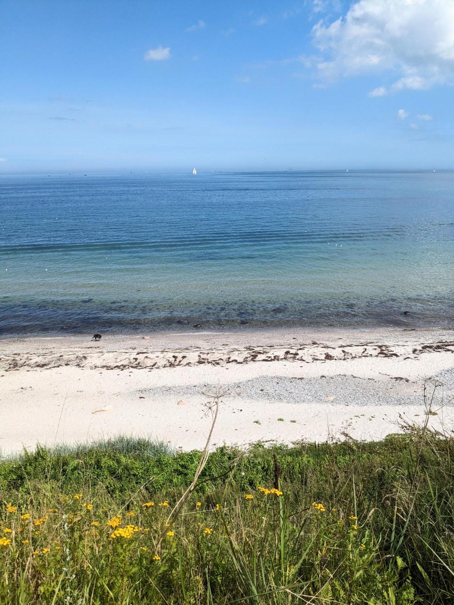 Nordic Bo -Wellen Wald Und Wilde Kueste- Strandnahe Doppelhaushaelfte Mit Waldterrasse Surendorf Екстериор снимка