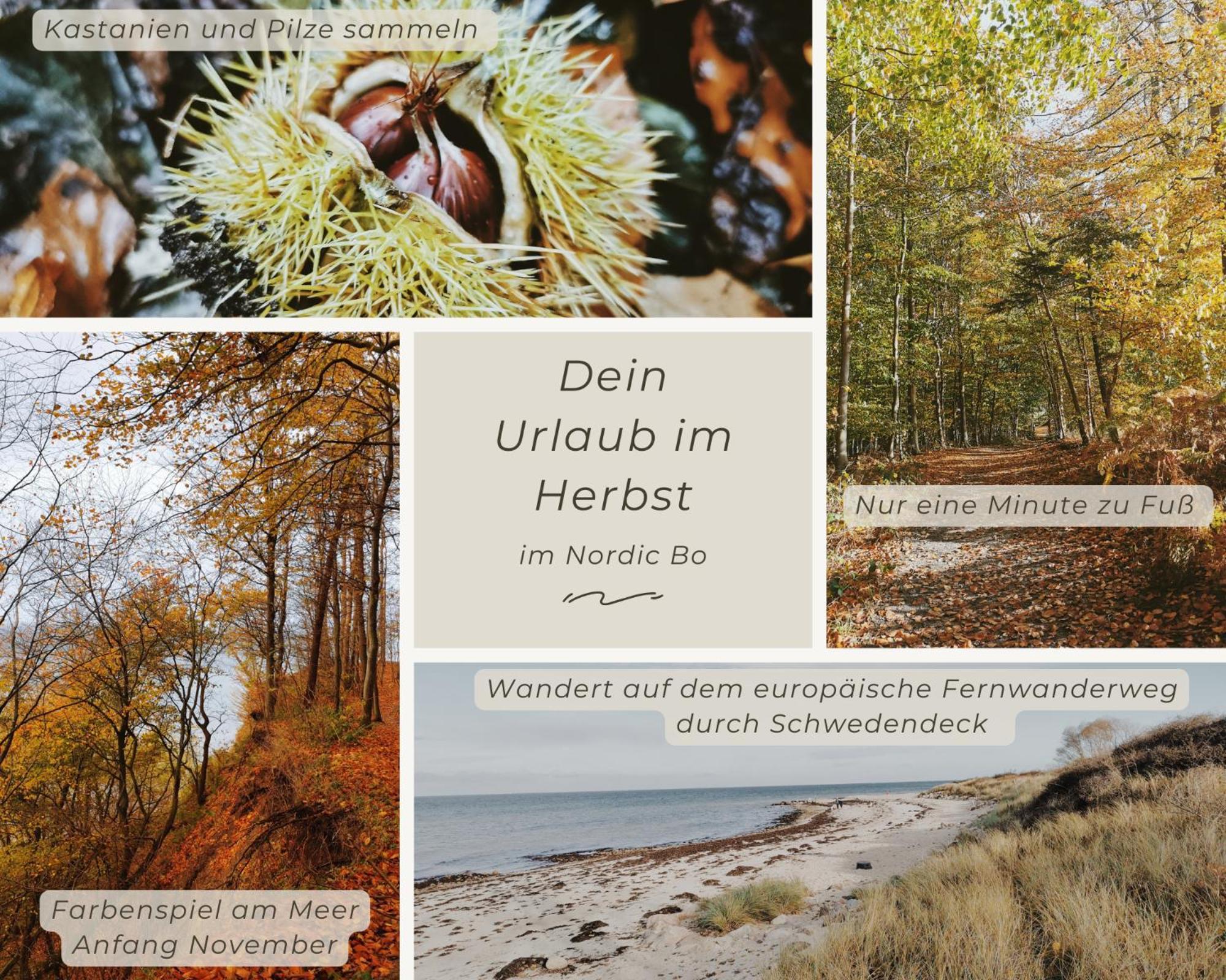 Nordic Bo -Wellen Wald Und Wilde Kueste- Strandnahe Doppelhaushaelfte Mit Waldterrasse Surendorf Екстериор снимка